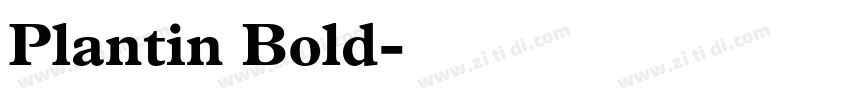 Plantin Bold字体转换
